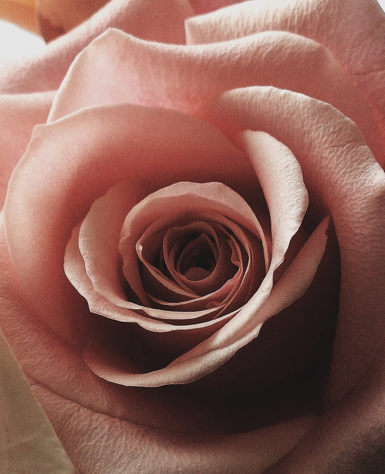 Carrier Bracelet & Necklace